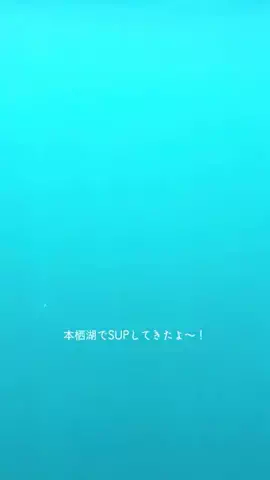 旅人ピッツのTikTok投稿