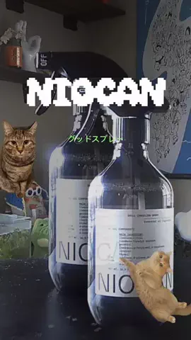 肉太郎🥬🍖🥬🐈🐈‍⬛moipi's roomのTikTok投稿