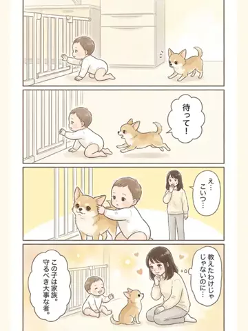 都内のチワワのTikTok投稿