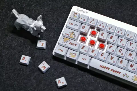 ほしのだいすけのTikTok投稿