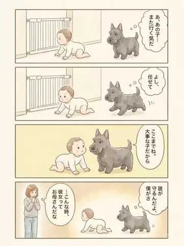 都内のチワワのTikTok投稿