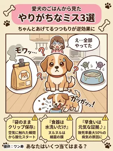 都内のチワワのTikTok投稿