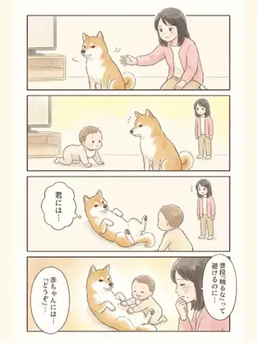 都内のチワワのTikTok投稿