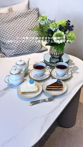 推し活カフェメディア | カフェ・推し友探しならimakのTikTok投稿