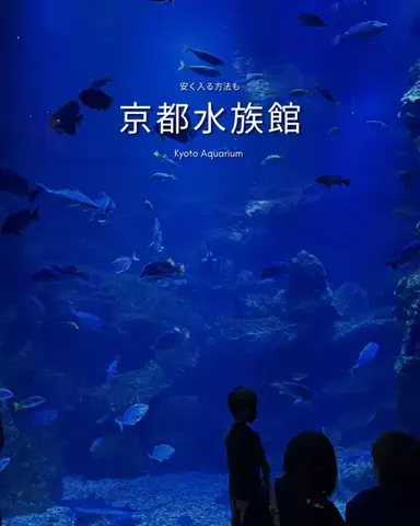 まぁ_コスパホテルのTikTok投稿