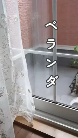 みゆきのTikTok投稿