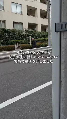 おじいの大学生活のTikTok投稿