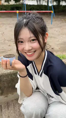 ミルのTikTok投稿