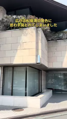 めしけしきのTikTok投稿