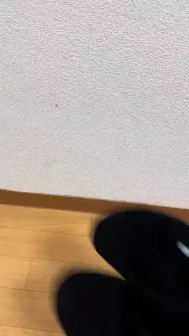 【公式】私の商品外れなしのTikTok投稿