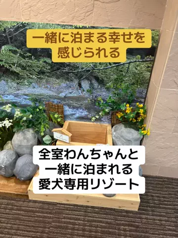 めしけしきのTikTok投稿
