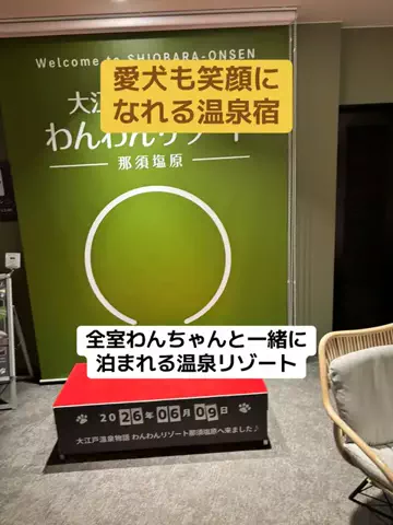 めしけしきのTikTok投稿