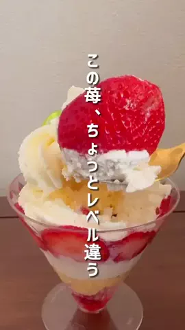 na_saxophone09のTikTok投稿