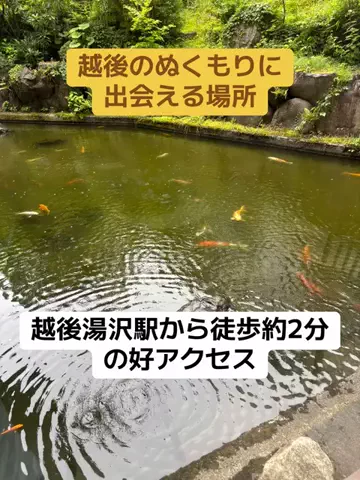 めしけしきのTikTok投稿