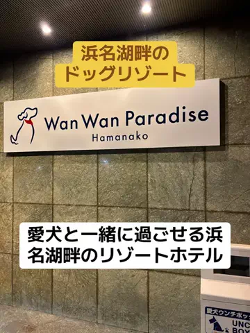 めしけしきのTikTok投稿