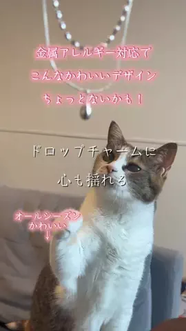 🐈もずあずちゃんねる🐈のTikTok投稿