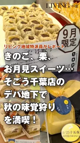 リビングWebのTikTok投稿