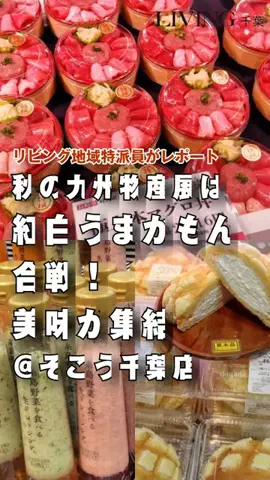 リビングWebのTikTok投稿