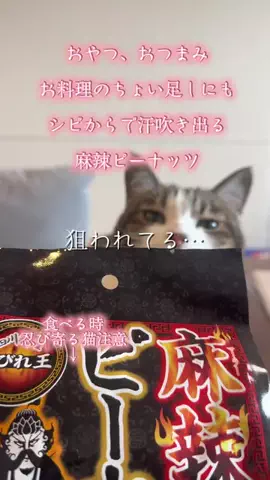 🐈もずあずちゃんねる🐈のTikTok投稿