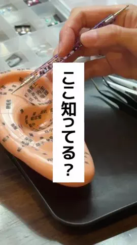 りぃこちゃんねる❣️のTikTok投稿