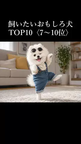 犬の教科書📕のTikTok投稿