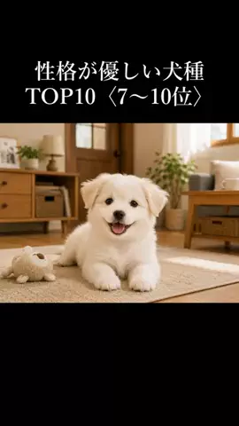 犬の教科書📕のTikTok投稿