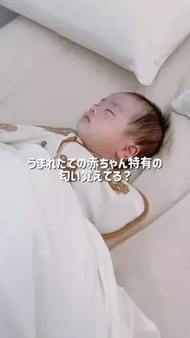 Hanae🐰🤍のTikTok投稿