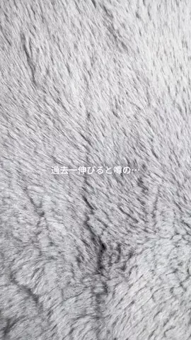 YumiのTikTok投稿