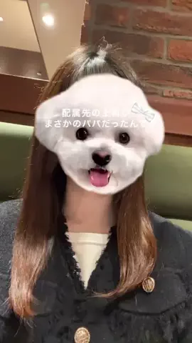 YumiのTikTok投稿