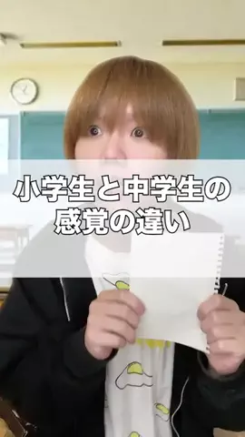 みけまるのTikTok投稿