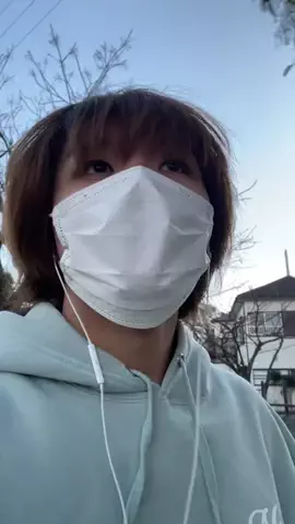 みけまるのTikTok投稿