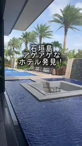 ひろねぇのTikTok投稿