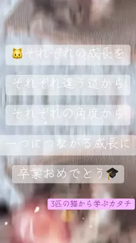 まっど🐈‍⬛🍎のTikTok投稿
