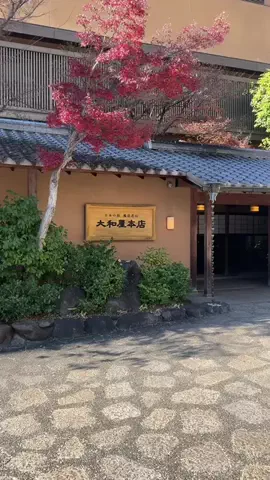 shuuublog/ホテル紹介のTikTok投稿