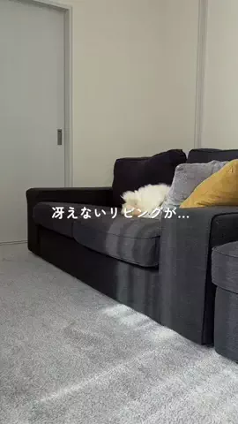 ななごはんのTikTok投稿