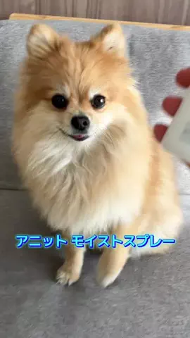 zzz.ponz💤🍊のTikTok投稿