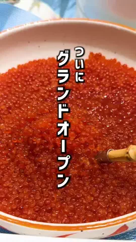 もじゃたび⌇静岡発✈︎旅行・観光・ホテルのTikTok投稿