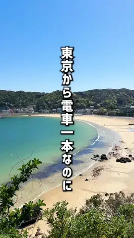 もじゃたび⌇静岡発✈︎旅行・観光・ホテルのTikTok投稿
