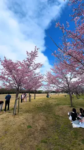 景色撮る人🇯🇵📸のTikTok投稿