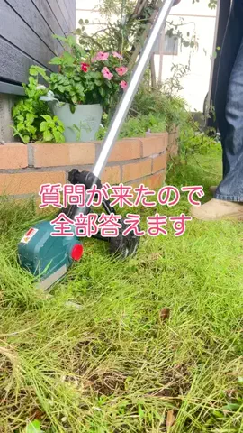 わか🌱雑草を愛でる人のTikTok投稿