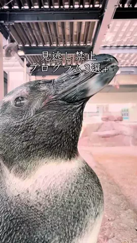 🍡おだんごjourney🍡のTikTok投稿