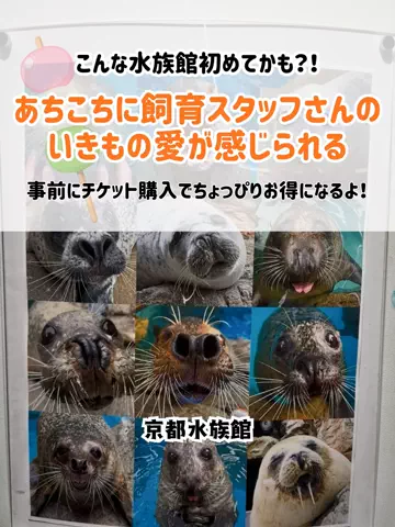 🍡おだんごjourney🍡のTikTok投稿