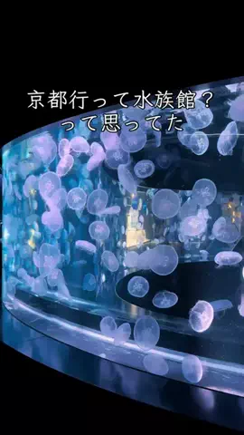 🍡おだんごjourney🍡のTikTok投稿