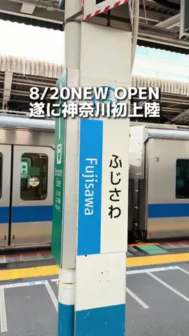 えびなびのTikTok投稿