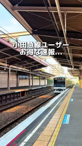 えびなびのTikTok投稿