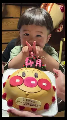 ただんち。🏠🌳のTikTok投稿