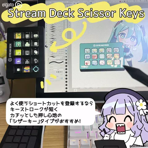 鳥乃カヲリ@本物のTikTok投稿