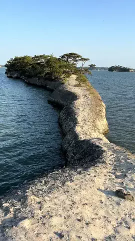 おとけしきのTikTok投稿