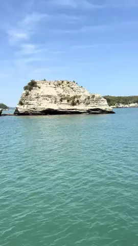 おとけしきのTikTok投稿