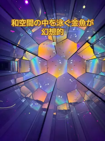 おとけしきのTikTok投稿